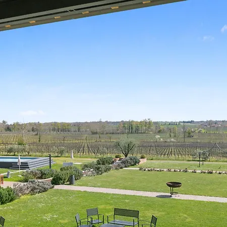 Almavite Wine With Pool - Happy *