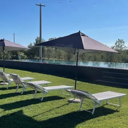 Almavite Wine With Pool - Happy Farm stay Desenzano del Garda