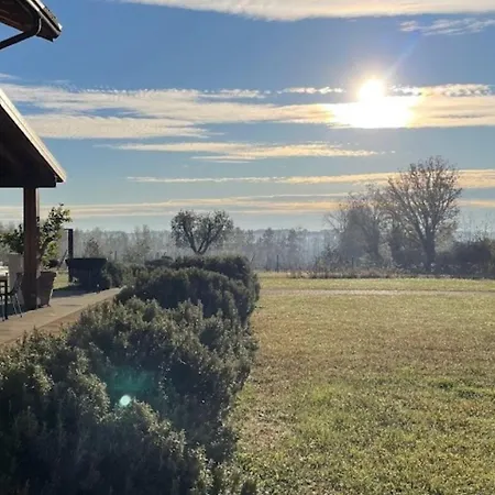 Farm stay Almavite Wine With Pool - Happy