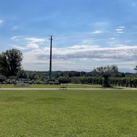 Almavite Wine With Pool - Happy Farm stay